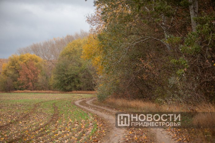 19 ноября в Приднестровье будет около +5°С