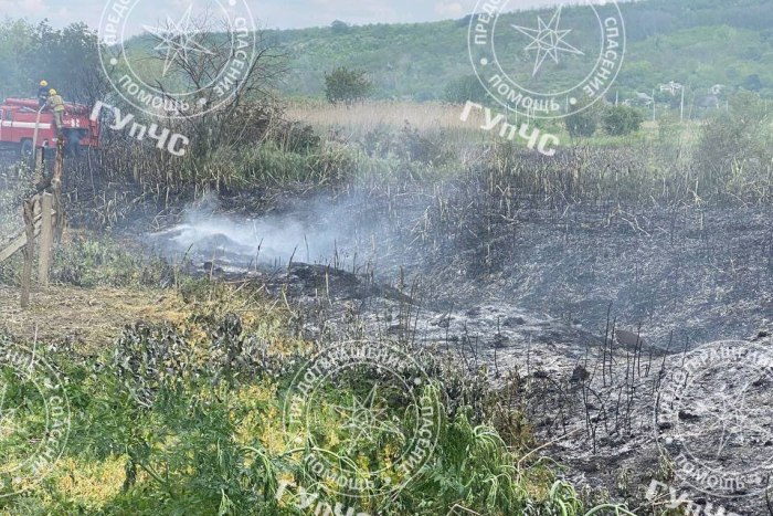 Бендерские пожарные потушили загоревшиеся заросли камыша в Гиске 