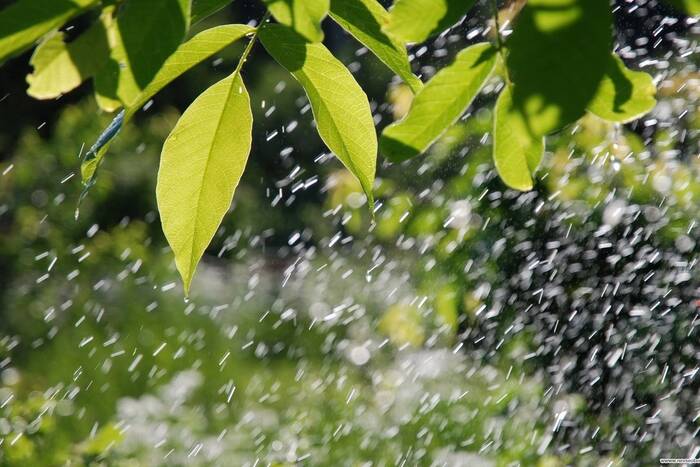 Дождь с грозой возможен 2 июня
