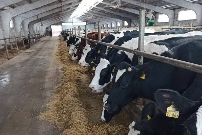 Комиссия проверила молочно-товарную ферму ТМК