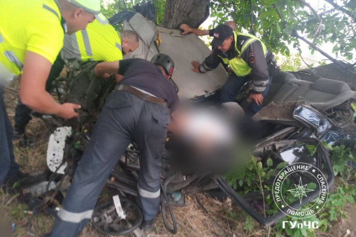 Неподалеку от Чобруч 19-летний водитель врезался в дерево
