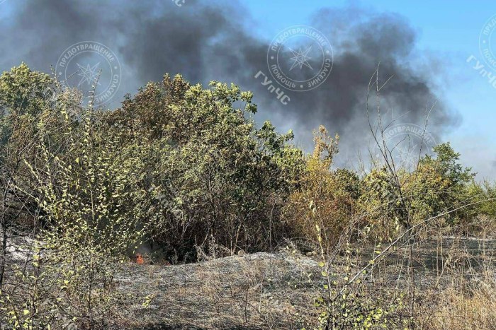Несколько пожарных расчетов тушат возгорание сухой травы на окраине столицы