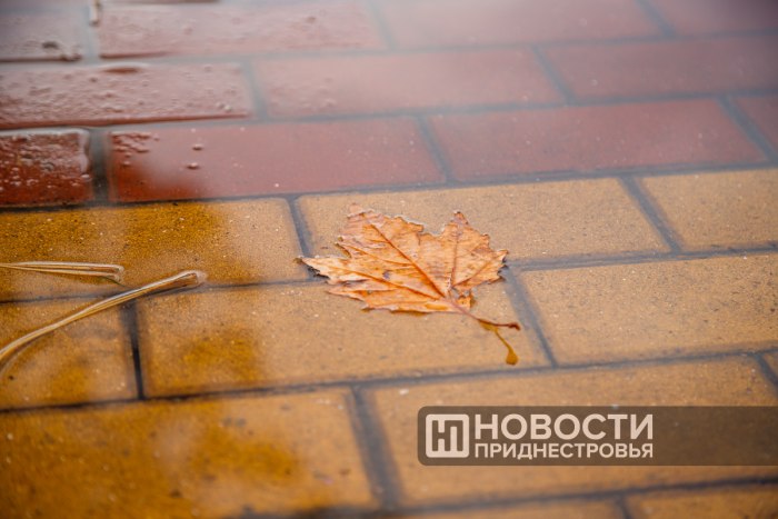Ночью 5 ноября в Приднестровье возможен дождь