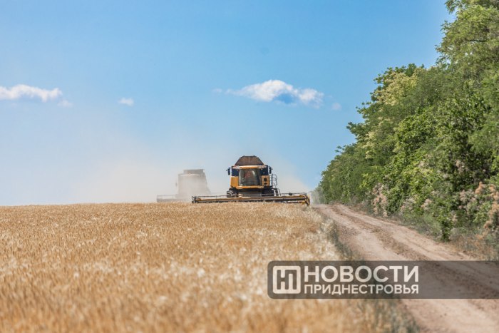 Пошлины Молдовы ударили по приднестровским сельхозпроизводителям