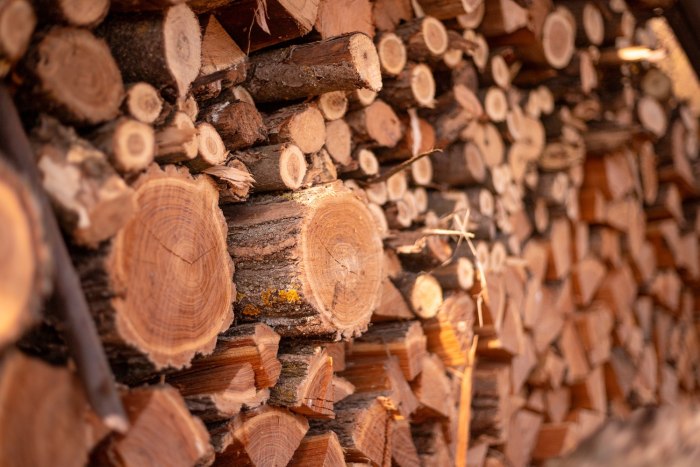 Правительство ввело сезонную пошлину на вывоз неколотой топливной древесины