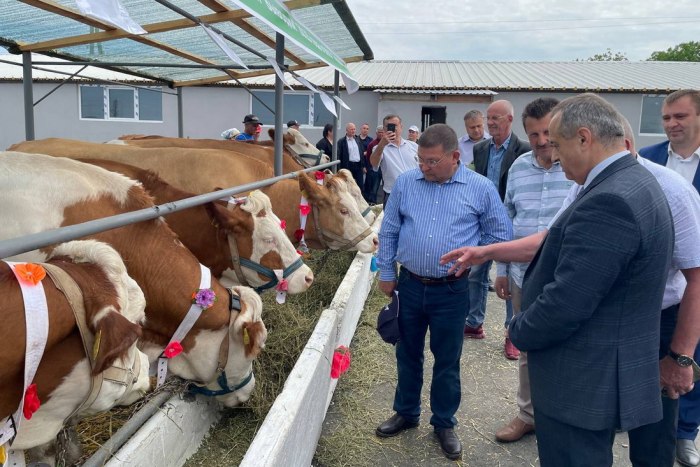 Председатель Правительства посетил выставку сельскохозяйственных животных