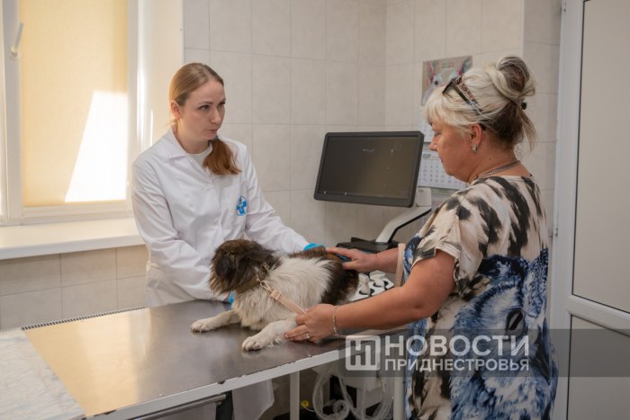 Приднестровские ветеринары отмечают профессиональный праздник