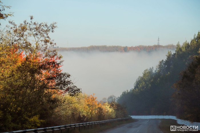 Приднестровский гидрометцентр напоминает о тумане 