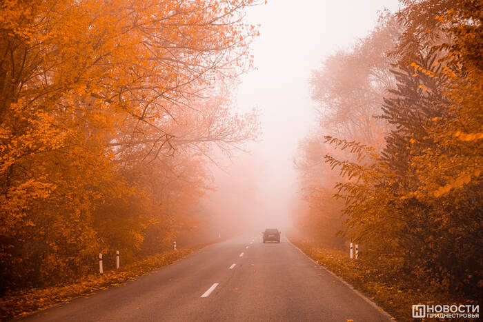 Утро 8 ноября в Приднестровье будет туманным