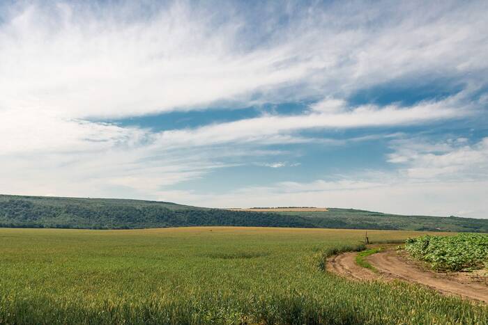 В Григориопольском районе 6 гектаров переведены в разряд земель сельхозназначения