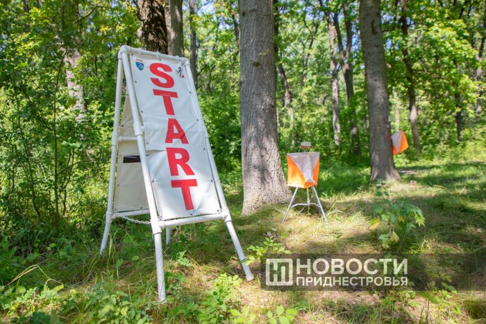 В Меренештском лесу прошёл турнир по спортивному ориентированию памяти Виктора Урсу