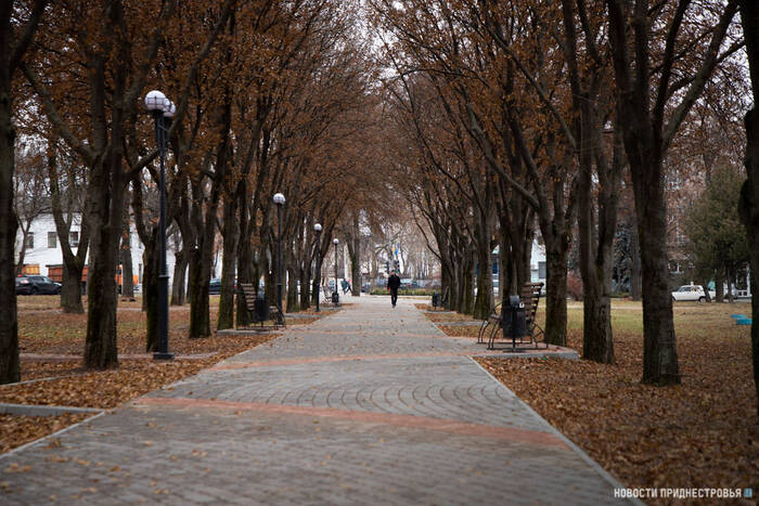В первый день зимы в Приднестровье ожидается до +8°С тепла