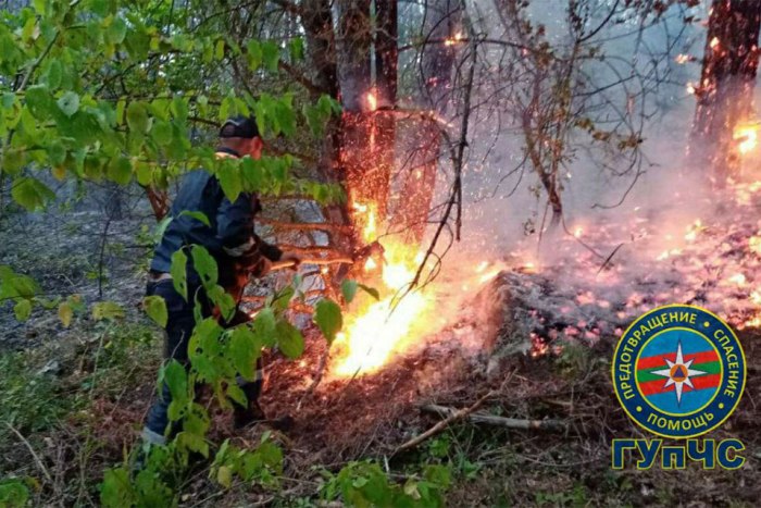 По всему Приднестровью планируют провести учения по ликвидации лесных пожаров