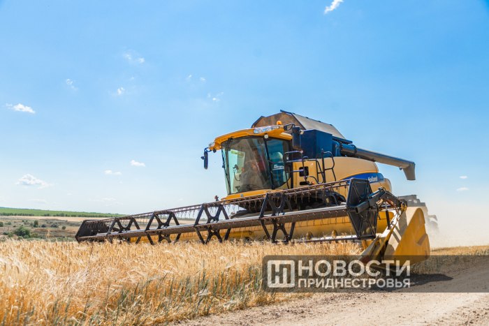 В Приднестровье собрали 392 тысячи тонн зерновых и зернобобовых культур
