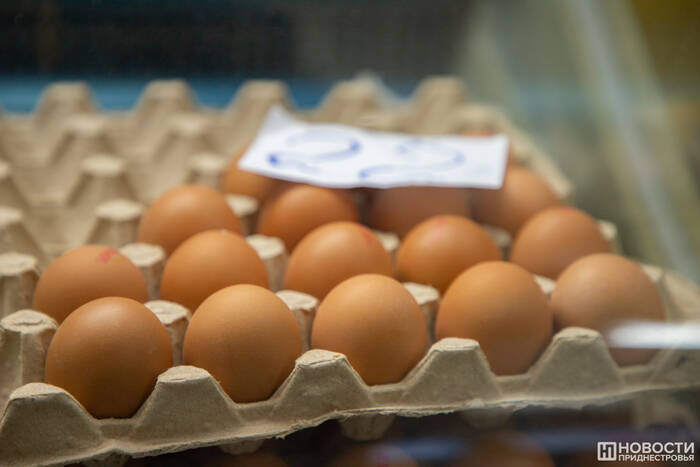 В селе Дзержинском наладили производство куриных яиц